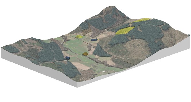 Orthographic view of a woodland project area with an aerial photography drape