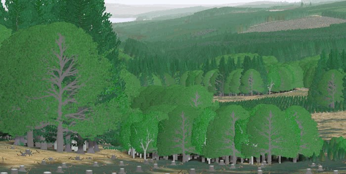 Animated Prospect panorama view cycling through summer, autumn, winter and spring colouring