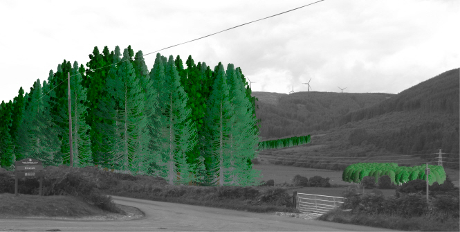 Photo-montage in black and white with the added woodland shown in colour
